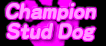 Champion & Stud Dog �}���`�[�Y