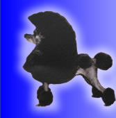 LANCELOT