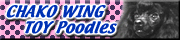Chako Wing